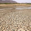 Một hồ nước khô cạn do nắng nóng kéo dài tại Ajmer, Ấn Độ ngày 2/6/2019. (Nguồn: AFP/TTXVN) 