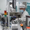Công nhân làm việc tăng ca để sản xuất thuốc tại Công ty dược ở Hải Khẩu, tỉnh Hải Nam, Trung Quốc trong bối cảnh dịch viêm đường hô hấp cấp do virus corona chủng mới bùng phát, ngày 3/2/2020. (Nguồn: THX/TTXVN) 