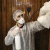 Công nhân phun thuốc khử trùng một nhà thờ nhằm ngăn dịch COVID-19 tại thành phố Hebron, Bờ Tây ngày 8/3/2020. (Nguồn: AFP/TTXVN) 
