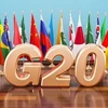 G20 cam kết thành lập một mặt trận thống nhất chống lại dịch COVID-19. (Nguồn: argaam.com) 