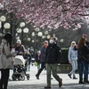 Người dân đeo khẩu trang để phòng tránh lây nhiễm COVID-19 tại Stockholm, Thụy Điển, ngày 28/3/2020. (Nguồn: AFP/TTXVN) 