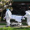 Nhân viên y tế chuyển thi thể bệnh nhân mắc COVID-19 ra nhà xác dã chiến bên ngoài một bệnh viện ở New York, Mỹ ngày 8/4/2020. (Nguồn: AFP/TTXVN) 