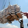 Thủ tướng Chính phủ đã có Quyết định giao chỉ tiêu kế hoạch dự trữ quốc gia năm 2020, Bộ Tài chính (Tổng cục Dự trữ nhà nước) được giao mua 190.000 tấn gạo. (Nguồn: TTXVN) 