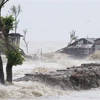 Cảnh tàn phá sau khi bão Amphan đổ bộ tại Bagerhat, Bangladesh ngày 20/5/2020. (Nguồn: THX/TTXVN) 
