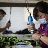 Các công nhân làm việc tại một nhà máy sản xuất đồ chơi ở Trung Quốc. (Nguồn: AFP) 