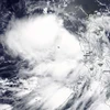 Hình ảnh vệ tinh của cơn bão Nuri. (Nguồn: NASA) 