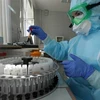 Nhân viên y tế xét nghiệm máu nhằm phát hiện virus gây bệnh COVID-19 tại bệnh viện ở Tatarstan, Nga ngày 8/5/2020. (Nguồn: TASS/TTXVN) 
