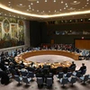 Toàn cảnh một phiên họp của Hội đồng bảo an Liên hợp quốc tại New York, Mỹ. (Nguồn: AFP/TTXVN) 