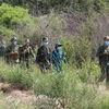 Chiến sỹ Đồn Biên phòng Lộc An (Bình Phước) tuần tra khu vực cột mốc 66 biên giới Việt Nam-Campuchia. (Ảnh: Sỹ Tuyên/TTXVN) 