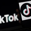 Biểu tượng TikTok trên màn hình điện thoại tại Arlington, Virginia, Mỹ. (Nguồn: AFP/TTXVN) 