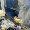 [Video] WHO liên lạc chặt chẽ với Nga để đánh giá về vắcxin COVID-19
