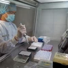 Bộ sinh phẩm phát hiện SARS-CoV-2 virus bằng kỹ thuật Realtime PCR của tỉnh Thái Nguyên được triển khai kiểm nghiệm tại Khoa Miễn dịch di truyền phân tử, Bệnh viện Trung ương Thái Nguyên. (Ảnh: Thu Hằng/TTXVN) 