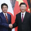 Ông Abe Shinzo (trái) và ông Tập Cận Bình. (Nguồn: Xinhua) 