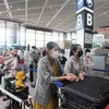 Công dân Việt Nam xếp hàng chờ làm thủ tục ở sân bay Narita, Nhật Bản ngày 25/5. (Ảnh: Đào Thanh Tùng/TTXVN) 