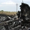 Hiện trường vụ rơi máy bay MH17 của hãng hàng không Malaysia Airlines ở gần thị trấn Shaktarsk, Ukraine, ngày 18/7/2014. (Nguồn: AFP/TTXVN) 