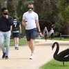 Người dân đi bộ trong công viên tại Melbourne, Australia, ngày 12/10/2020. (Nguồn: AFP/TTXVN) 