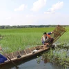 Trải nghiệm làm dân miền Tây 'chính hiệu' tại vườn quốc gia Tràm Chim