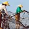 [Photo] Làng chài nhỏ xinh bị 'lãng quên' bên bãi biển Sầm Sơn