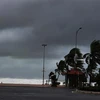 Đường ven biển Võ Nguyên Giáp (Đà Nẵng) gió giật mạnh, sóng cao từ 3-5 mét trong cơn bão số 9. (Nguồn: TTXVN) 