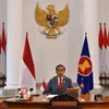 Tổng thống Indonesia Joko Widodo. (Nguồn: AFP/TTXVN) 