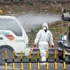 Nhân viên kiểm dịch phun thuốc khử trùng gần một trang trại gà ở Yeongam, Hàn Quốc, nơi phát hiện ổ dịch cúm gia cầm. (Nguồn: AFP/TTXVN) 