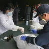 Cảnh sát kiểm tra số ma túy thu giữ tại khu vực ngoại ô Lima, Peru, ngày 16/4/2020. (Nguồn: AFP/TTXVN) 