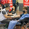 Các bạn trẻ tham gia hiến máu trong ngày hội Chủ nhật Đỏ lần thứ 13 - năm 2021. (Nguồn: TTXVN phát) 