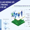 [Infographics] Nền tảng lao động số - một đặc trưng của kinh tế số