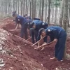 Các chiến sỹ Đội K72 đang đào tìm và cất bốc các phần mộ liệt sỹ tại khu vực Nông trường 1 - Công ty cao su Lộc Ninh, thuộc địa bàn ấp Măng Cải, xã Lộc Thiện, huyện Lộc Ninh, tỉnh Bình Phước. (Nguồn: TTXVN phát) 