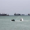 Tàu thuyền chờ đi qua Kênh đào Suez, Ai Cập, sau sự cố tàu hàng Ever Given mắc cạn tại đây, ngày 26/3/2021. (Nguồn: THX/TTXVN) 