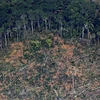 Một khoảng rừng Amazon ở bang Rondonia, miền Bắc Brazil bị tàn phá, ngày 23/8/2019. (Nguồn: AFP/TTXVN) 