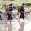 Phụ nữ trong làng gùi nước từ Giọt nước về nhà Rông của làng để dâng lên thần linh. (Ảnh: Hồng Điệp/TTXVN) 