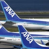 Máy bay của ANA Holdings. (Nguồn: ft.com) 