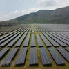 Cánh đồng pin năng lượng Mặt Trời dưới chân Núi Cấm của Nhà máy điện mặt trời Sao Mai-An Giang. (Nguồn: TTXVN) 