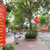 Cờ, băngrôn tại xã Song Phượng, huyện Đan Phượng, Hà Nội chào đón ngày bầu cử 23/5. (Ảnh: Hoàng Hiếu/TTXVN) 