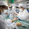 Hơn 1.000 công nhân Công ty TNHH New Wing Interconnect Technology (Khu công nghiệp Vân Trung) đã đi làm trở lại sau 2 lần test âm tính với SARS-CoV-2. (Ảnh: Danh Lam/TTXVN) 