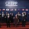 Hiệp định Đối tác Toàn diện và Tiến bộ xuyên Thái Bình Dương (CPTPP) chính thức được ký kết tại Chile, ngày 8/3/2018. (Nguồn: TTXVN phát) 