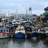 Thuyền đánh cá neo tại cảng ở Scarborough, Anh ngày 4/1/2021. (Nguồn: AFP/TTXVN) 