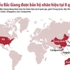 [Infographics] Danh sách các nước bảo hộ nhãn hiệu vải thiều Bắc Giang