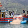 Ngư dân thôn Vũng Rô xã Hòa Xuân Nam, thị xã Đông Hòa, Phú Yên vui mừng vì khai thác được nhiều loại cá có giá trị trong chuyến đi biển đầu năm 2021. (Ảnh: Phạm Cường/TTXVN) 