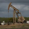 Một cơ sở khai thác dầu tại Cotulla, Texas, Mỹ. (Nguồn: AFP/TTXVN) 