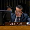 Đại sứ, Phó Trưởng phái đoàn Việt Nam tại Liên hợp quốc Phạm Hải Anh. (Ảnh: Khắc Hiếu/TTXVN) 