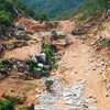 Hiện trường một phần diện tích khu rừng Tân Phước-núi Thị Vải bị tàn phá. (Ảnh: Ngọc Sơn/TTXVN) 