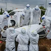 Các tình nguyện viên chôn cất thi thể bệnh nhân COVID-19 tại Kuala Lumpur, Malaysia ngày 15/6/2021. (Ảnh: AFP/TTXVN) 