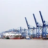 Hoạt động xếp dỡ hàng hóa tại cảng Cát Lái, Thành phố Hồ Chí Minh. (Ảnh: Đỗ Ngọc Giang/TTXVN) 