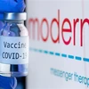 Vaccine ngừa COVID-19 của hãng dược phẩm Moderna. (Ảnh: AFP/TTXVN) 