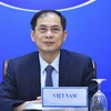 Bộ trưởng Bộ Ngoại giao Bùi Thanh Sơn dự Hội nghị trực tuyến cam kết hỗ trợ nhân đạo của ASEAN cho Myanmar. (Ảnh: TTXVN) 