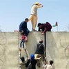 Người dân Afghanistan trèo qua bức tường rào để vào sân bay quốc tế ở Kabul với hy vọng được sơ tán khi Taliban tuyên bố giành quyền kiểm soát đất nước, ngày 16/8/2021. (Ảnh: Getty Images/TTXVN) 