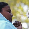 Nhân viên y tế lấy mẫu xét nghiệm COVID-19 tại Srinagar, Ấn Độ. (Ảnh: THX/TTXVN) 