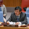 Đại sứ Đặng Đình Quý, Trưởng phái đoàn Việt Nam tại Liên hợp quốc. (Ảnh: TTXVN) 